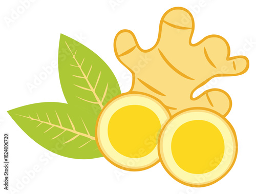 Ginger root with fresh leaves and round slices vector illustration