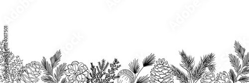 Elegant black and white winter floral border with pine cones, cedar branches, and evergreen sprigs in clean line art style. Minimalist botanical design for seasonal decorations and layouts