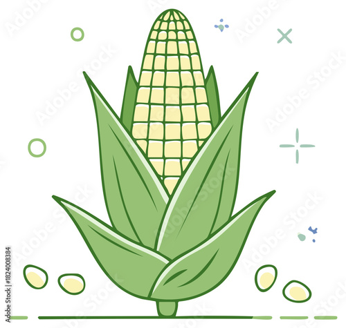 Fresh Corn on the Cob with Green Leaves and Decorative Elements for Harvest or Agriculture Themes