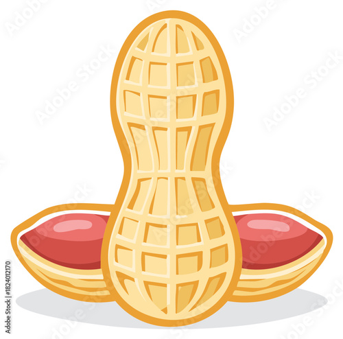 Cartoon Illustration of Peanuts with Shells and Nuts