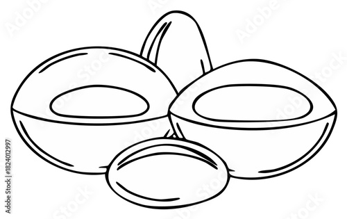 Hand-drawn vector illustration of whole and halved avocados, outline drawing