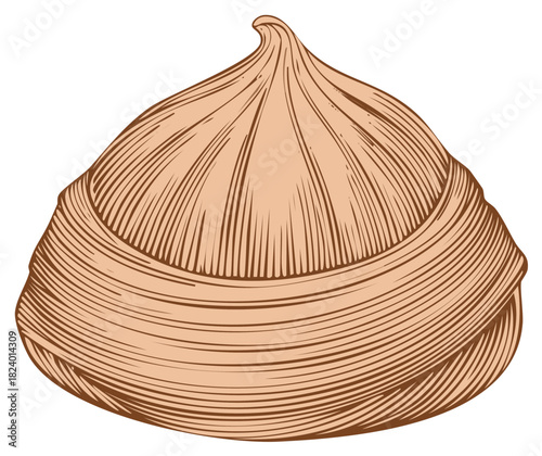 Hand drawn illustration of a traditional Asian soup dumpling in a vintage engraved style