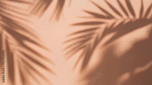Gentle palm frond shadows dancing on a warm terracotta wall creating a serene tropical vibe for a relaxing summer mood, perfect for wellness brands