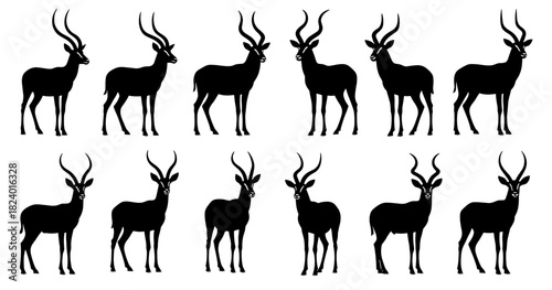 Antelope silhouettes with long curved horns. Clean lines show high quality. The collection emphasizes slender form and elegant posture