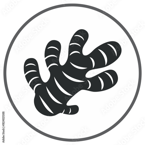 Stylized ginger root icon a common ingredient for culinary and medicinal uses