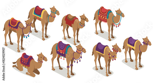 Diverse isometric camels with colorful saddles in different poses