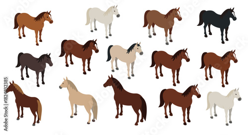 Isometric horses collection: diverse breeds and colors in various poses