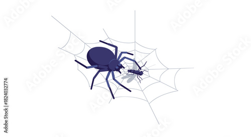 Spider captures fly in web: minimalist nature design with simplistic style