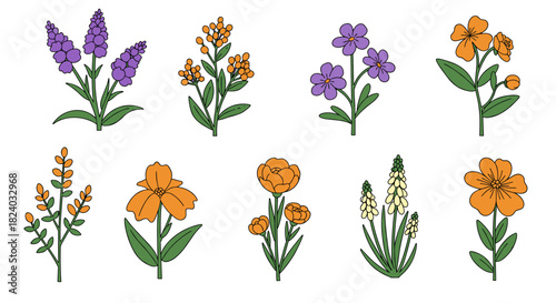 Colorful floral collection featuring lavender, wildflowers, and blossoms in flat design style