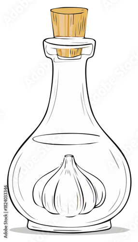 Garlic clove in oil infused in decorative bottle with cork stopper for cooking and flavor enhancement, sketch art