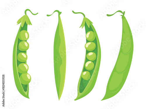 Peas. Flat vector clipart illustration with isolated background.