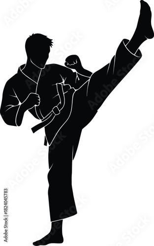 “Martial artist in high kick action pose, dynamic sports silhouette, clean bold vector for fitness and training themes.