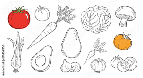 Collection of fresh farm vegetables in a hand-drawn sketch style including tomato carrot cabbage mushroom and avocado.