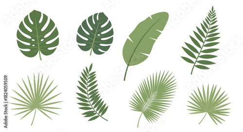 Tropical Leaves Collection: Monstera Banana and Palm Fronds.