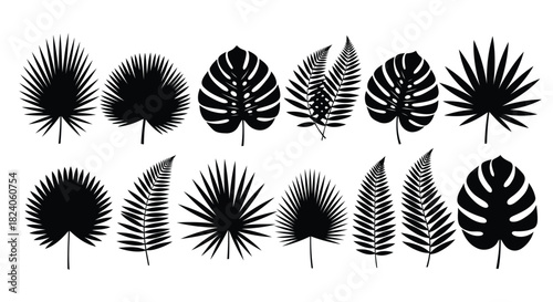 Tropical leaf silhouettes set