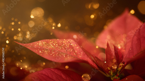 Vibrant red poinsettia leaves glimmering with golden sparkles in a warm, festive atmosphere during the holiday season