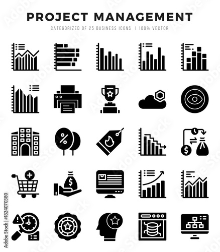Collection of Project Management 25 Glyph Icons Pack.
