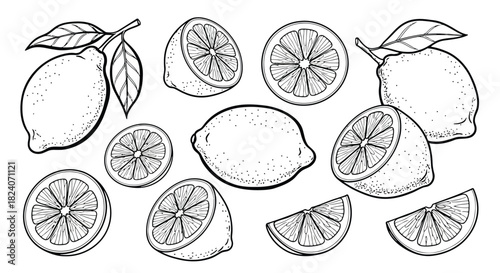 Hand drawn lemon set, whole and sliced