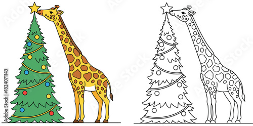 Cute giraffe decorating Christmas tree. Vector cartoon illustration of an animal putting a star on top. Isolated color and black and white outline version for coloring book page.