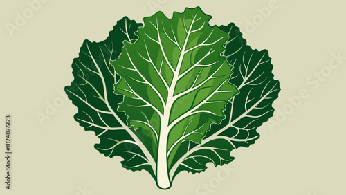 Fresh green leafy vegetable illustration