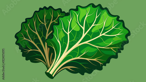 Fresh green leafy vegetable illustration
