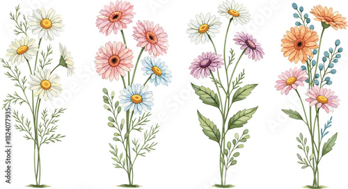 daisy floral vector, colorful flower arrangement, botanical illustration, garden bloom design, nature art, seasonal bouquet,