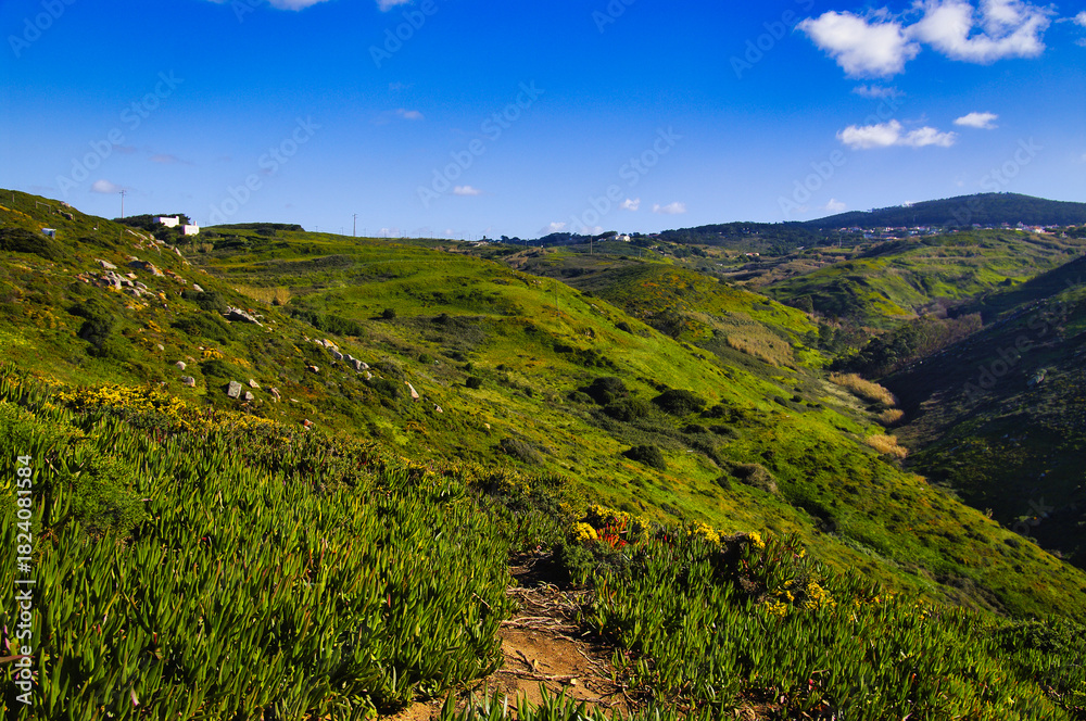 Naklejka premium Green hills with spring flowers in Sintra-Cascais Natural Park (Parque Natural de Sintra-Cascais), close to Lisbon, Portugal 