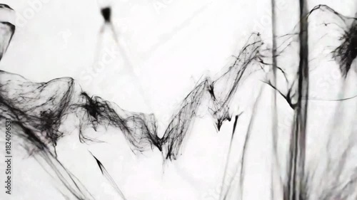 Abstract black ink smoke on white background artistic background element