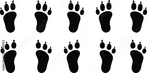 Set of black bear paw prints with claws, wild animal footprints, wildlife track silhouettes, vector illustration collection, isolated on white background, predator steps