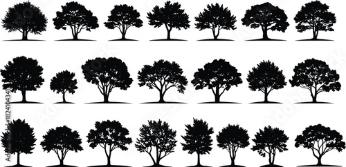 PrintTree silhouette, black vector, foliage shape, nature design, botanical illustration, species variety, forest element, landscape reference, white background