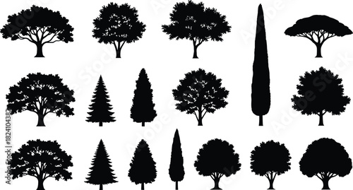 PrintTree silhouette, black vector, foliage shape, nature design, botanical illustration, species variety, forest element, white background, landscape reference