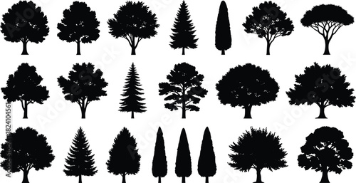 PrintTree silhouette, black vector, foliage shape, nature design, botanical illustration, species variety, landscape element, white background, forest graphic