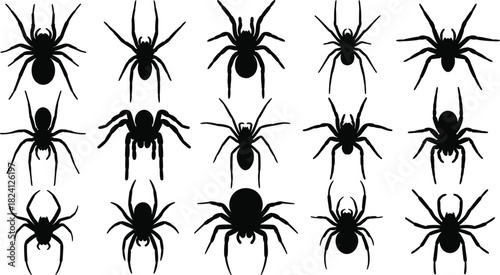 Black silhouette spider collection featuring diverse arachnid poses, detailed vector illustrations, creepy i