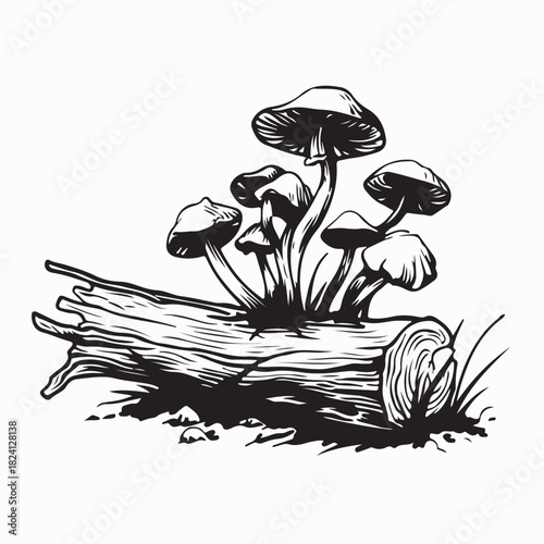 Group of Mushrooms on Mossy Log Vector Illustration on white background