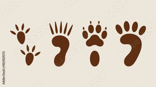 Illustration featuring various animal footprints in brown color on a light beige background design art