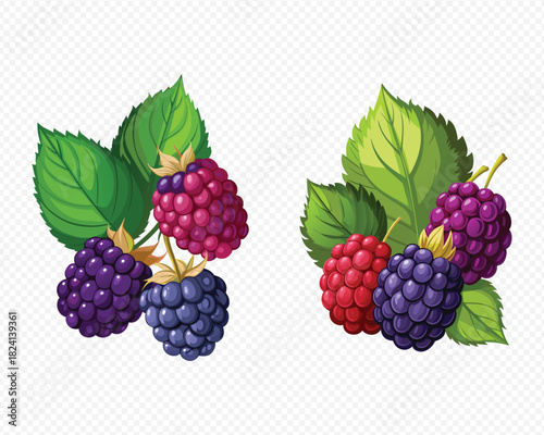 Detailed illustration of ripe raspberries and blackberries with vibrant green leaves