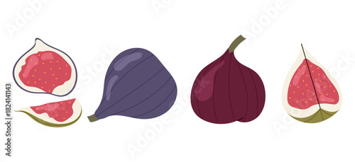 Set fresh figs illustration. Whole, half and sliced purple fig fruit. Healthy food icon collection. Natural sweet snack or dessert.