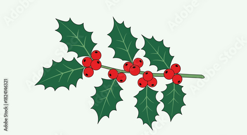 Illustration of a holly branch with green leaves and red berry cluster