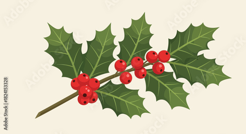 Illustration of a holly branch with green leaf and red berry cluster