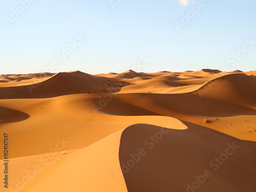 Fototapeta Naklejka Na Ścianę i Meble -  sand dunes in the sahara