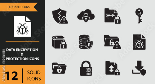 12 User Access and Privacy Control Icons outline icon set. Outline privacy control icons for secure user access management