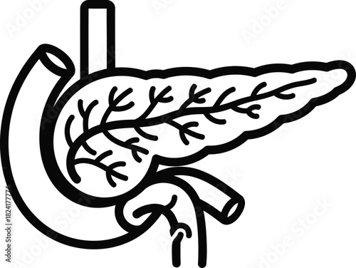 Pancreas anatomy diagram pancreatic duct digestive system healthcare eps silhouette