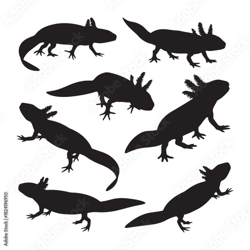  Collection of axolotl silhouettes in various poses and movements