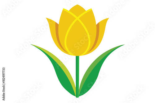 Single stylized yellow tulip flower blossoms with verdant green leaves on a white background
