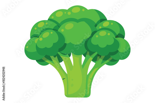 Vibrant green broccoli head displays fresh produce against a stark white, clean background
