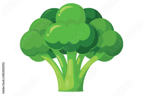 Single broccoli floret showcases vibrant green hues against a clean, bright white backdrop