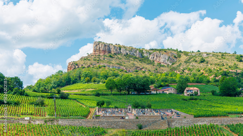 Naklejka premium Solutre rock with vineyards, Burgundy in France
