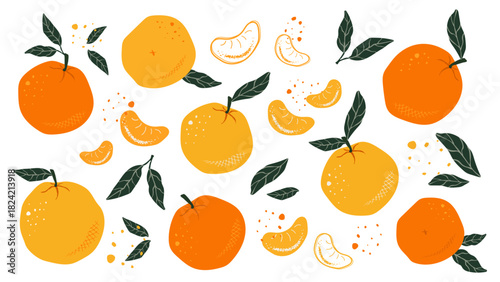 Set of Hand Draw Tangerines or Oranges. Abstract drawing of citrus fruits with leaves and slices on a white background. Vector
