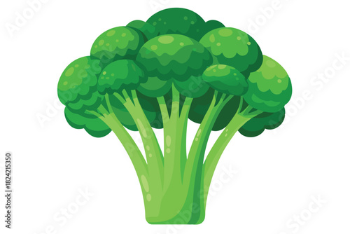 Fresh green broccoli crowns and stalks are arranged against a pure white backdrop