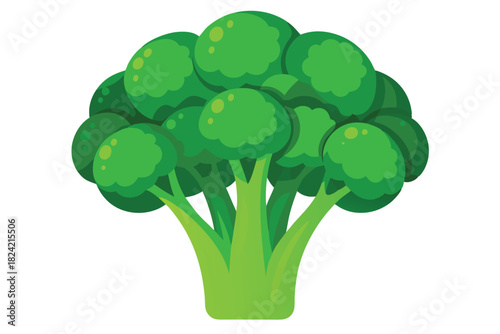 Fresh green broccoli floret shows healthy raw food with a vibrant color
